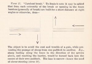 Image from Where the Dead Men Lie and Other Poems (by Barcroft Boake, 1897)