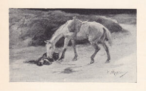 Image from Where the Dead Men Lie and Other Poems (by Barcroft Boake, 1897)